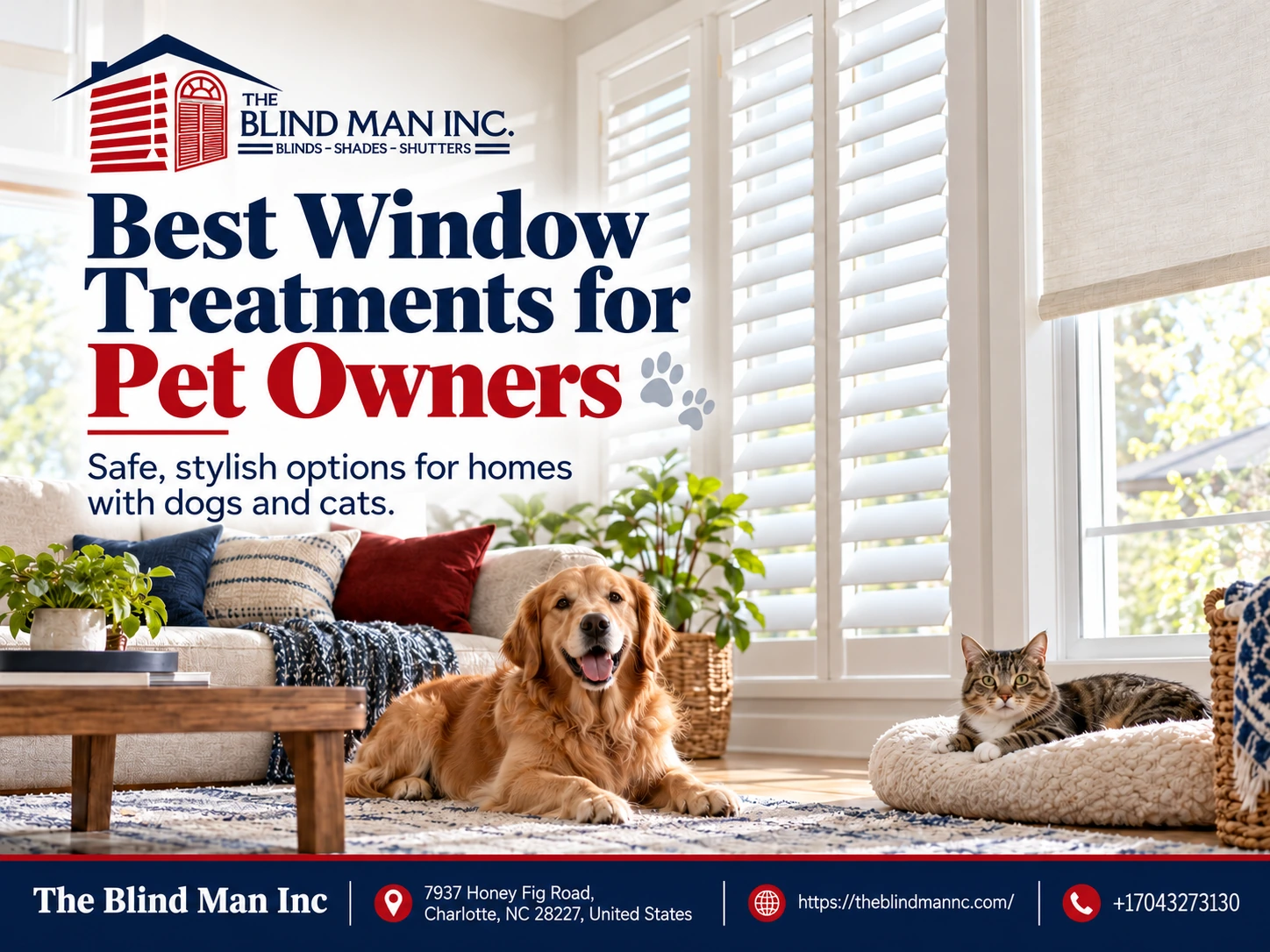 Best Window Treatments for Pet Owners