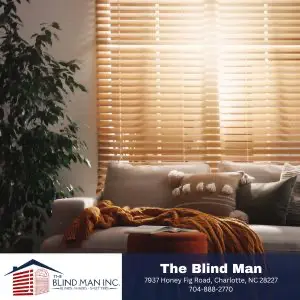 function of window blinds
